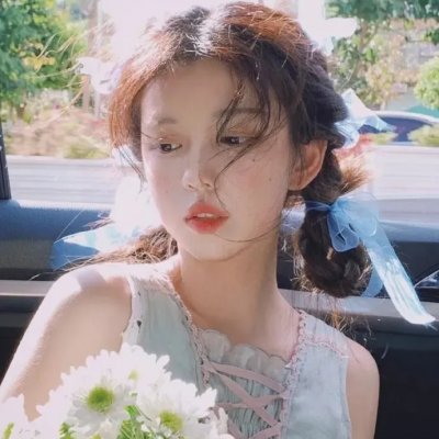 盗贼生涯